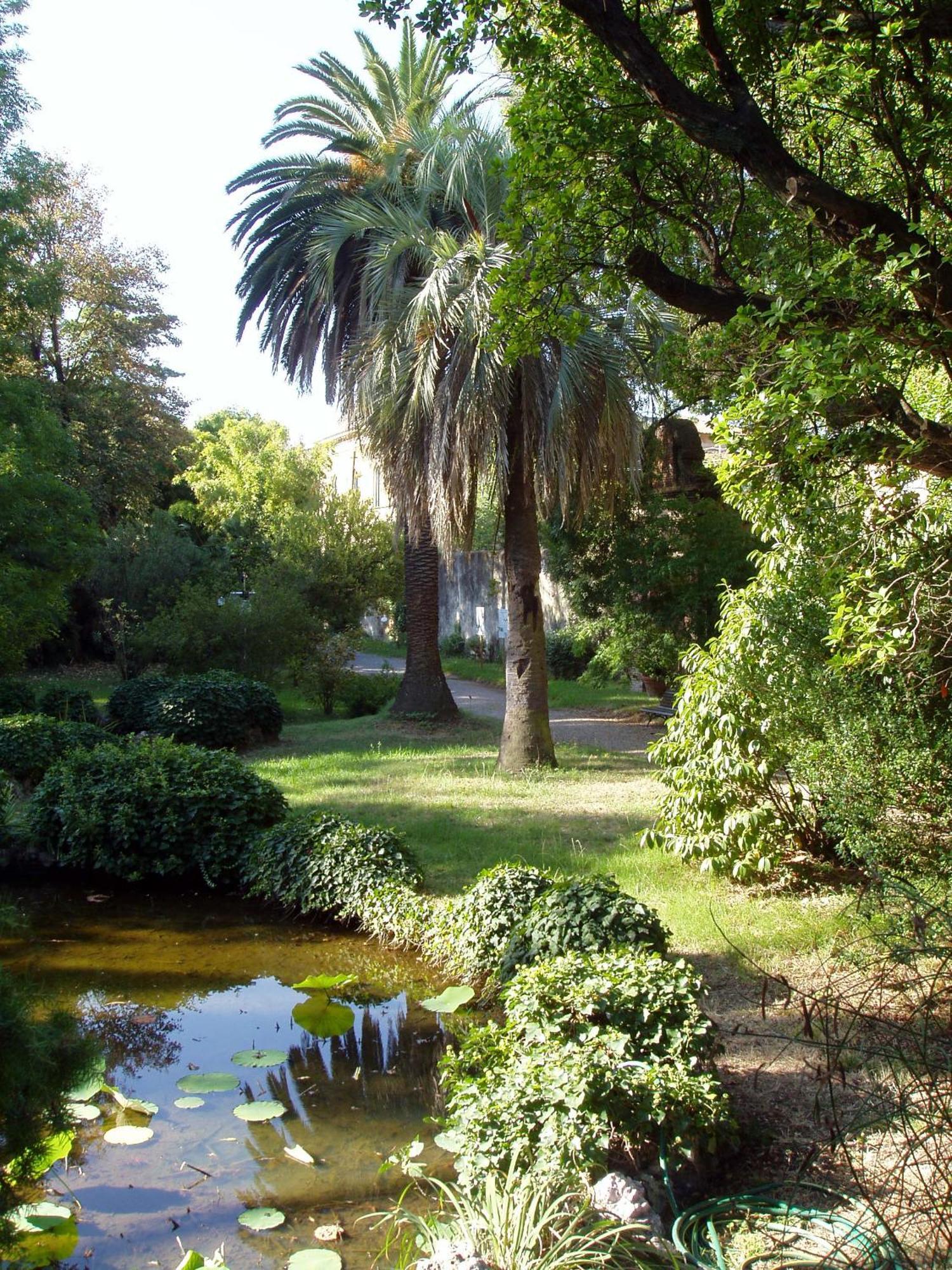 Apartament Hagley Park Hidden Gem Christchurch Zewnętrze zdjęcie